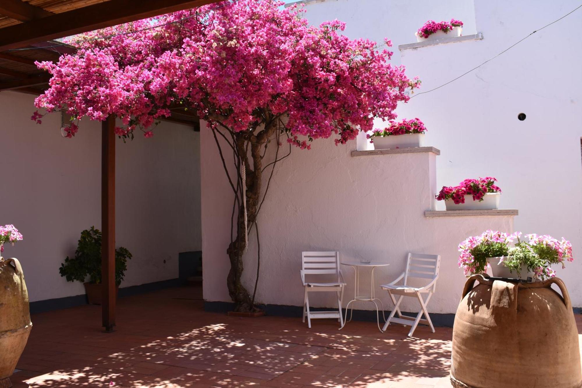 B&B Casabianca パリヌロ エクステリア 写真